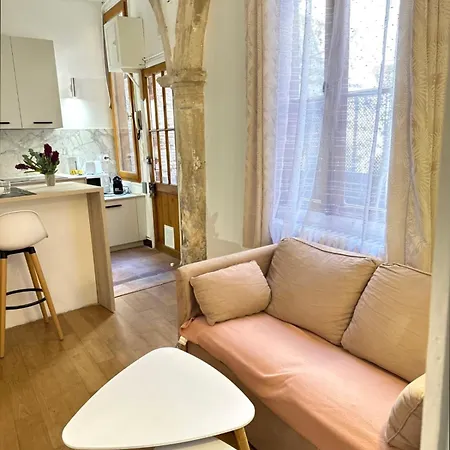 Quiet Cocoon In The Downtown * Toulouse